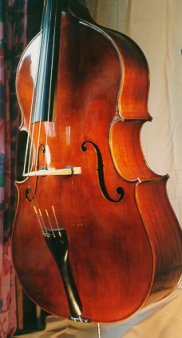 Bass Violins