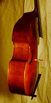 Viols