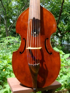 Viols
